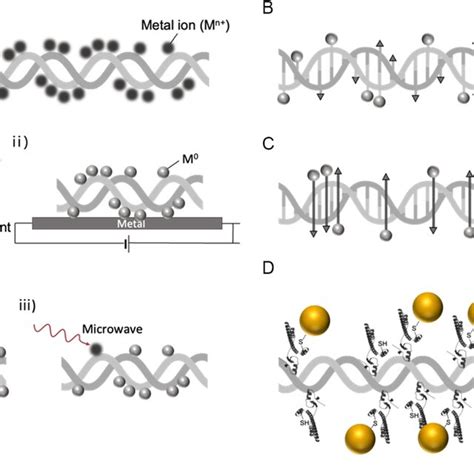 dna metal fabrication|dna metallization pdf.